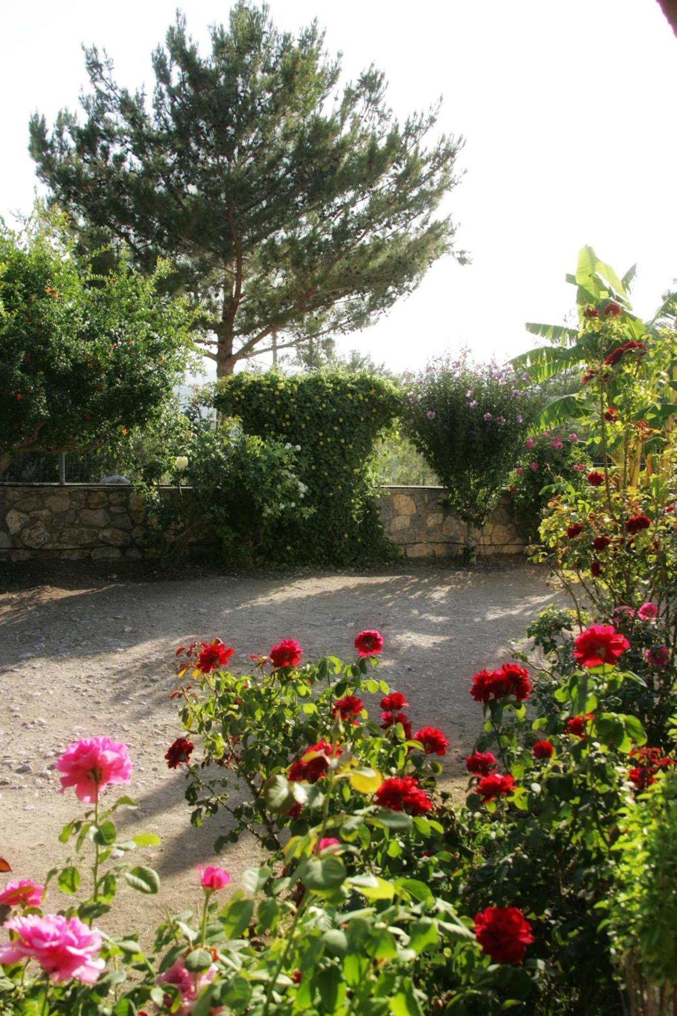 Dora'S House Villa Istrios Exterior foto
